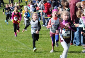 Kindergarten, first- and second-grade girls run in a pack on the cross country course. Runners from St. Thomas More, Allentown clinched the girls’ race. 